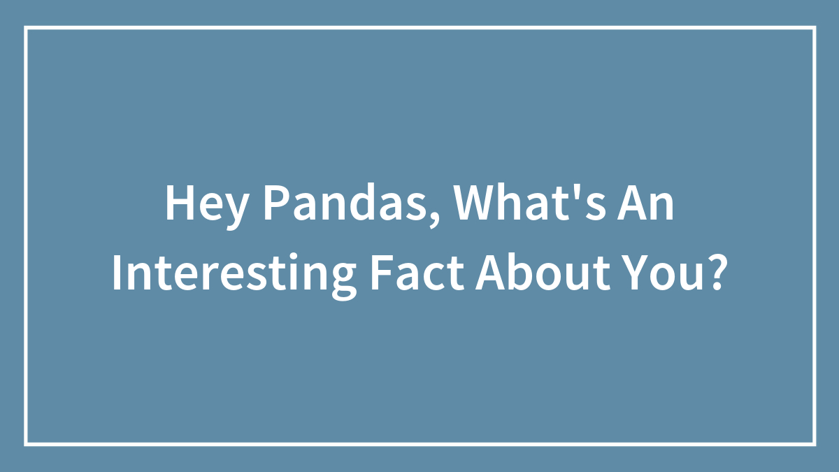 Hey Pandas, What’s An Interesting Fact About You? (Closed)