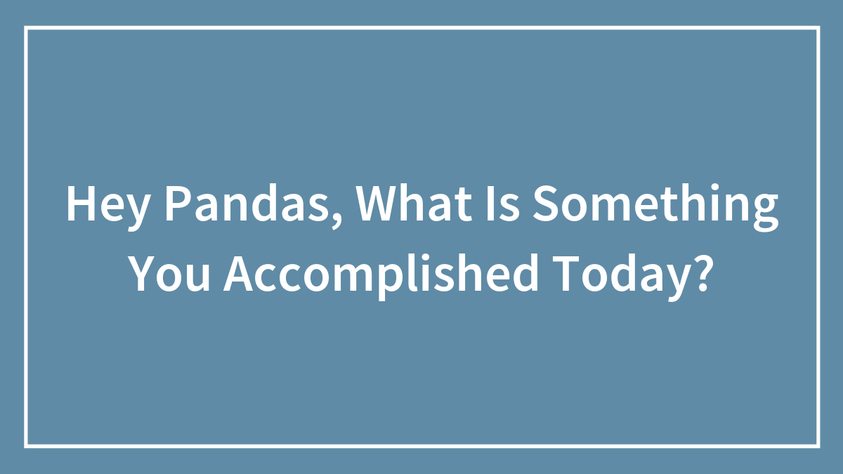 Hey Pandas, What Is Something You Accomplished Today?