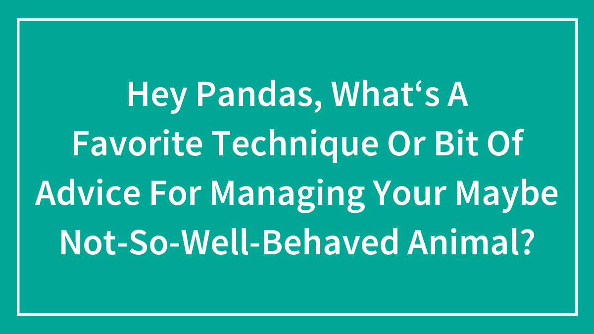 Hey Pandas, What‘s A Favorite Technique Or Bit Of Advice For Managing Your Maybe Not-So-Well-Behaved Animal?