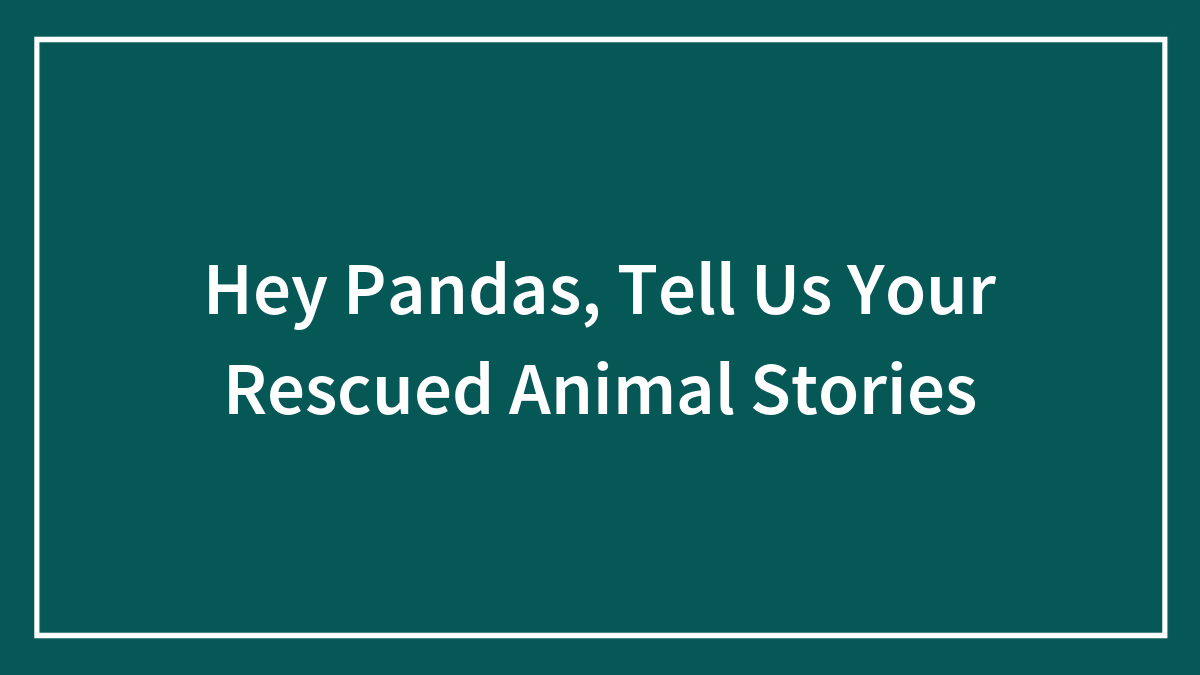 Hey Pandas, Tell Us Your Rescued Animal Stories (Closed)
