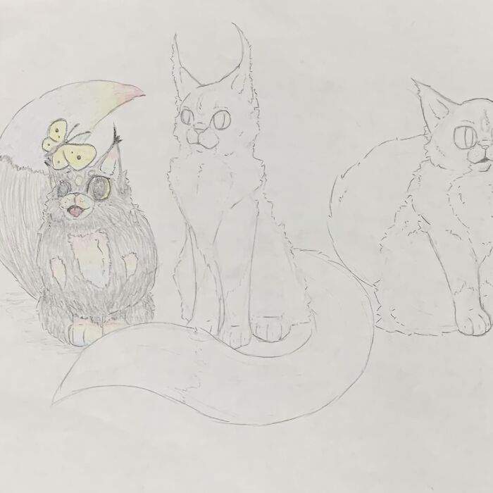 Hey Pandas, Show What You Have Been Working On (Closed)