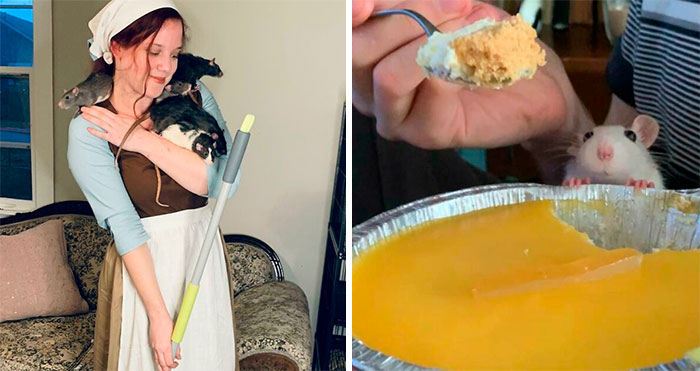 50 Adorable Pics That Might Convince You That You Need A Pet Rat (New Pics)