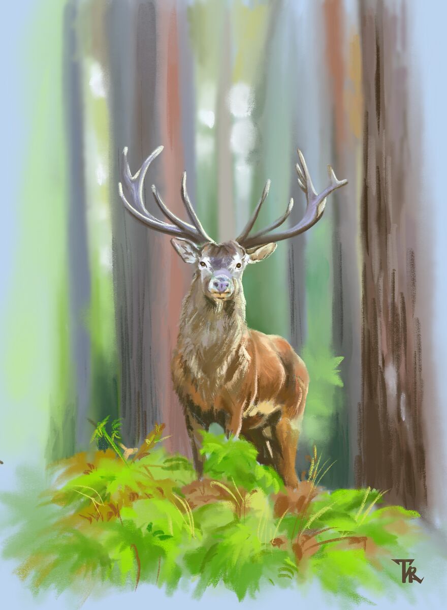 An illustration of a deer