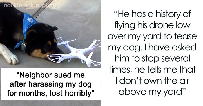 A Jerk Sues Neighbor Because His Dog Destroyed His Expensive Drone, Embarrasses Himself In Court