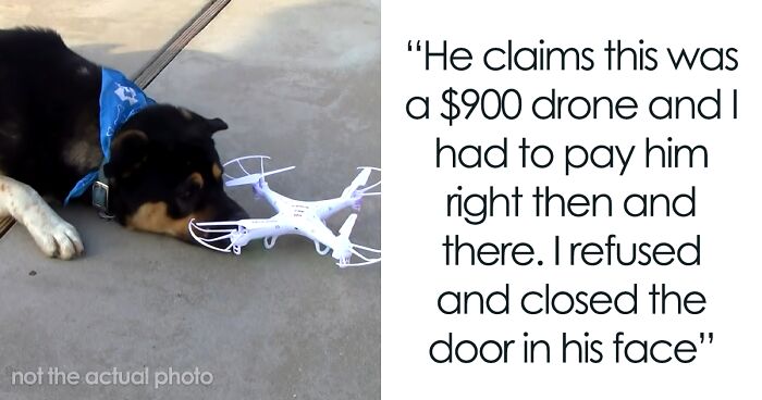 A Jerk Sues Neighbor Because His Dog Destroyed His Expensive Drone, Embarrasses Himself In Court