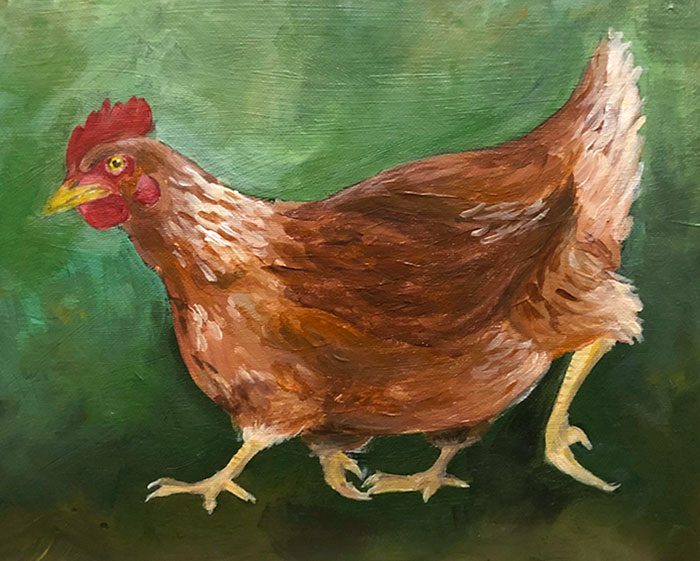 Pinté una gallina de cuatro patas para mi novia porque nos pareció divertido 