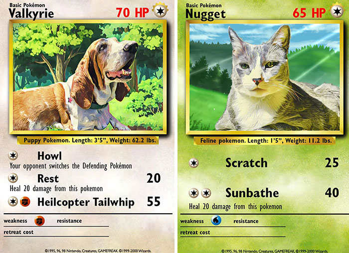 My Boyfriend Made Pokémon Cards Of Our Dog And Cat For My Birthday Instead Of A Birthday Card