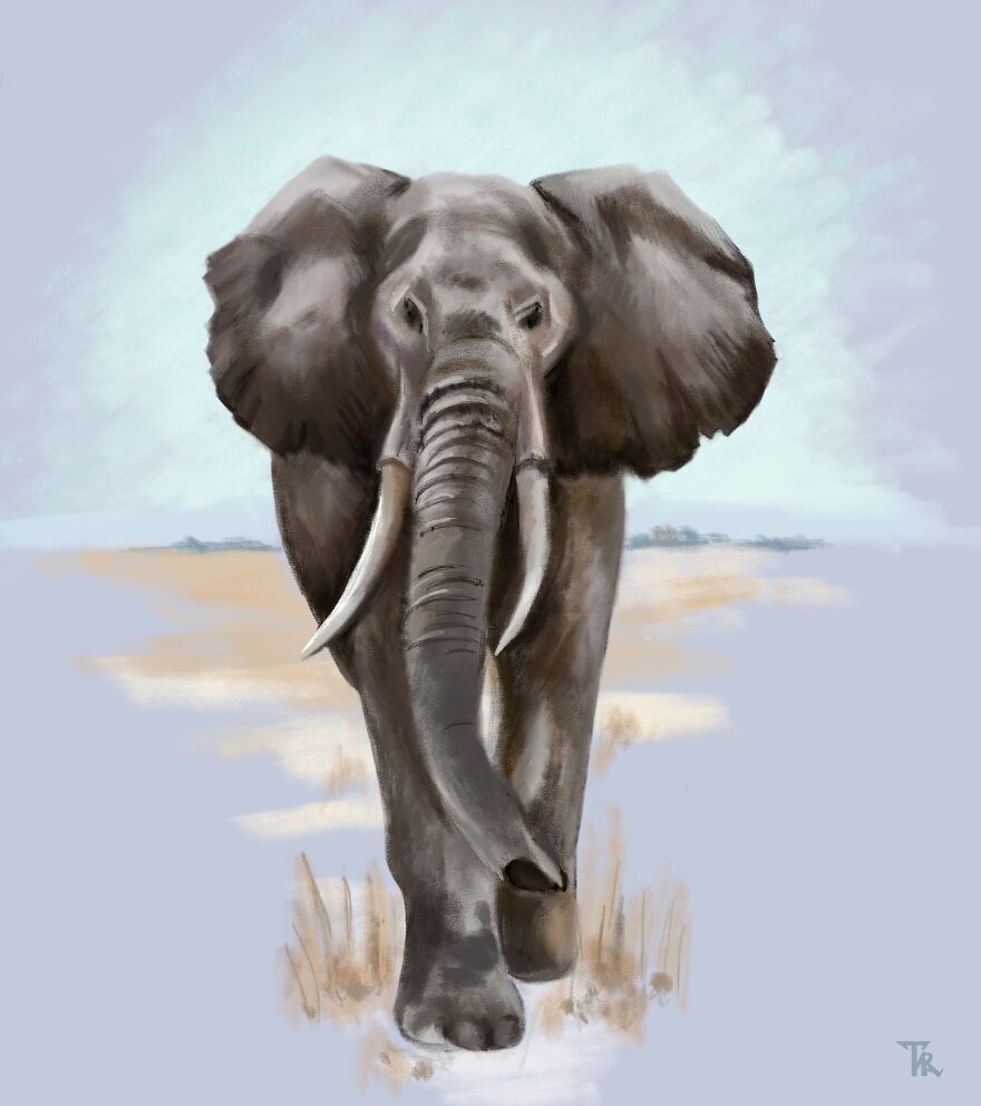 An illustration of an elephant