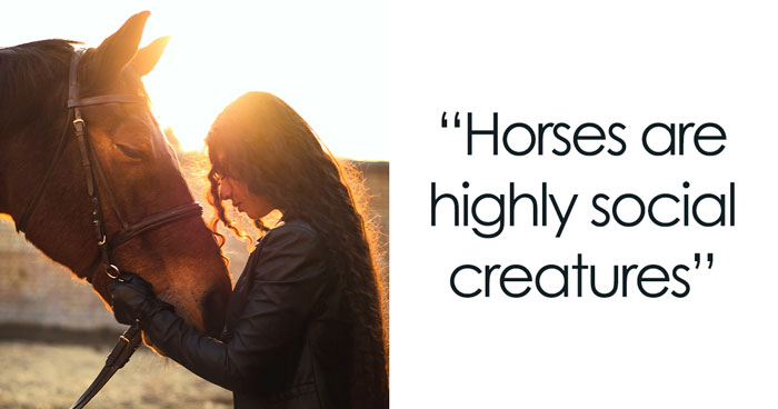 54 Facts About Horses That Shed Some Light On These Majestic Animals