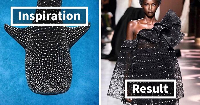 Fashion Often Draws Inspiration From Nature And This Instagram Account Proves It (30 New Pics)