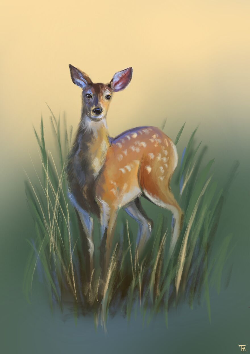 An illustration of a doe