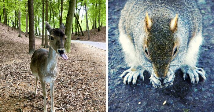 Hey Pandas, Post A Wildlife Photo You’ve Taken (Closed)