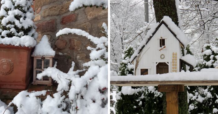 Hey Pandas, What Is The Best Winter Photo You Have? (Closed)