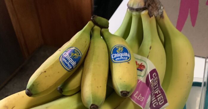 Hey Pandas, Share Something You Want To Share