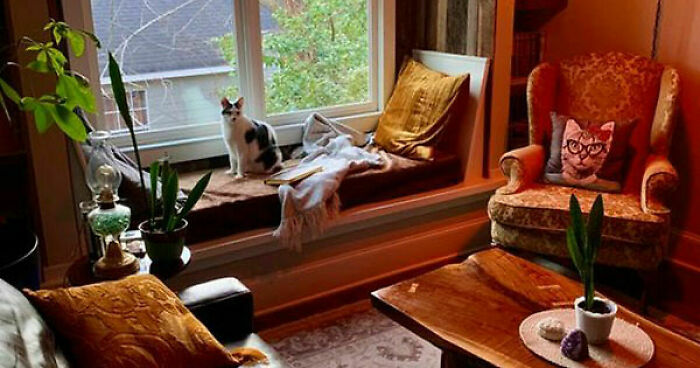 Hey Pandas, Show Us The Coziest Place In Your Home (Closed)