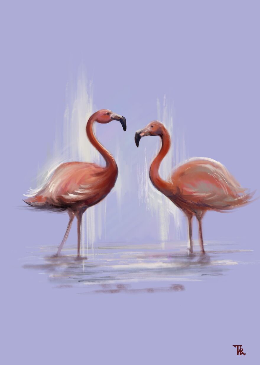 An illustration of two flamingos