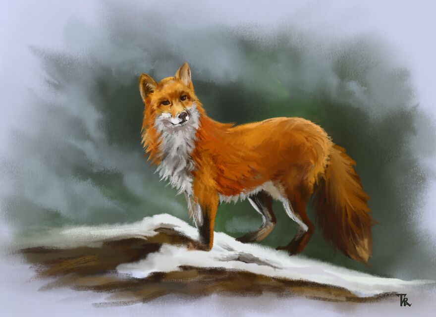 An illustration of a fox