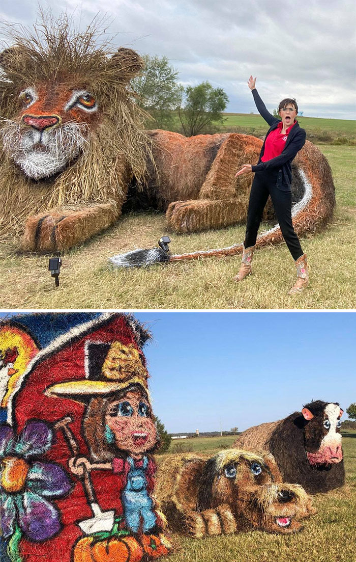 Every Fall For The Past 3 Years Lesa Ritchie Has Been Creating Hay Art In Her Front Yard