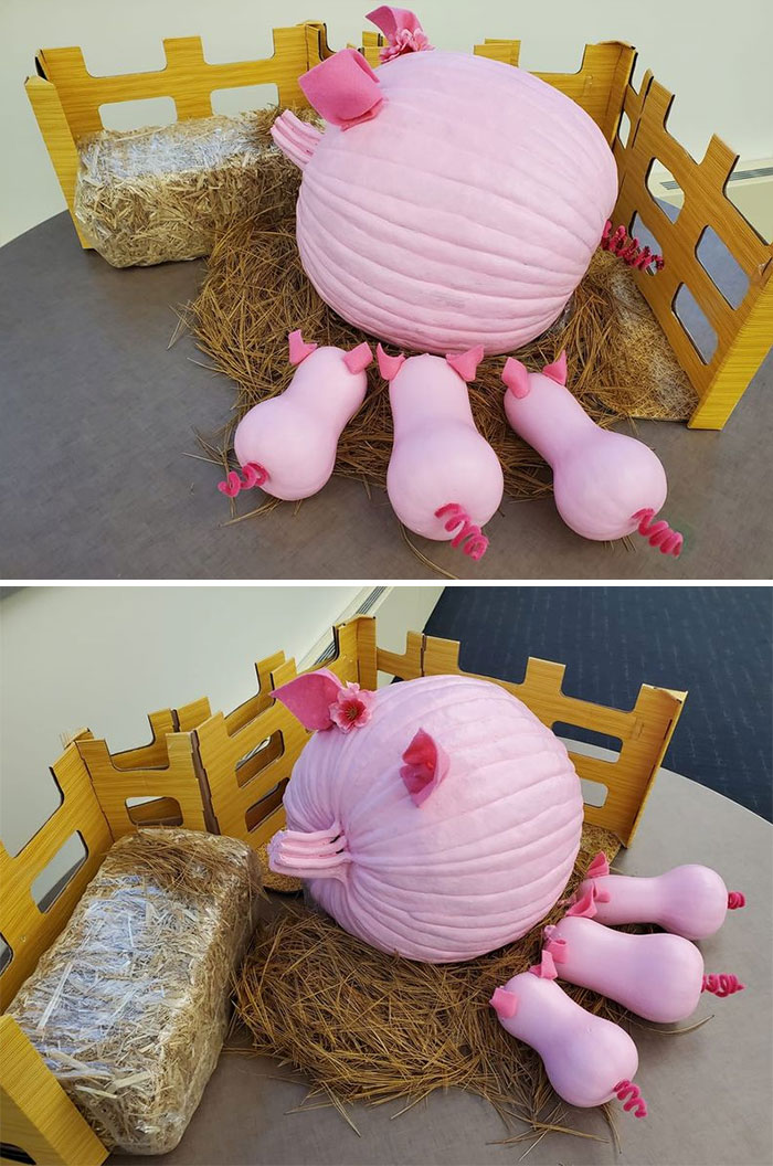 My Piggy Pumpkin With Butternut Squash Piglets For The Office Contest