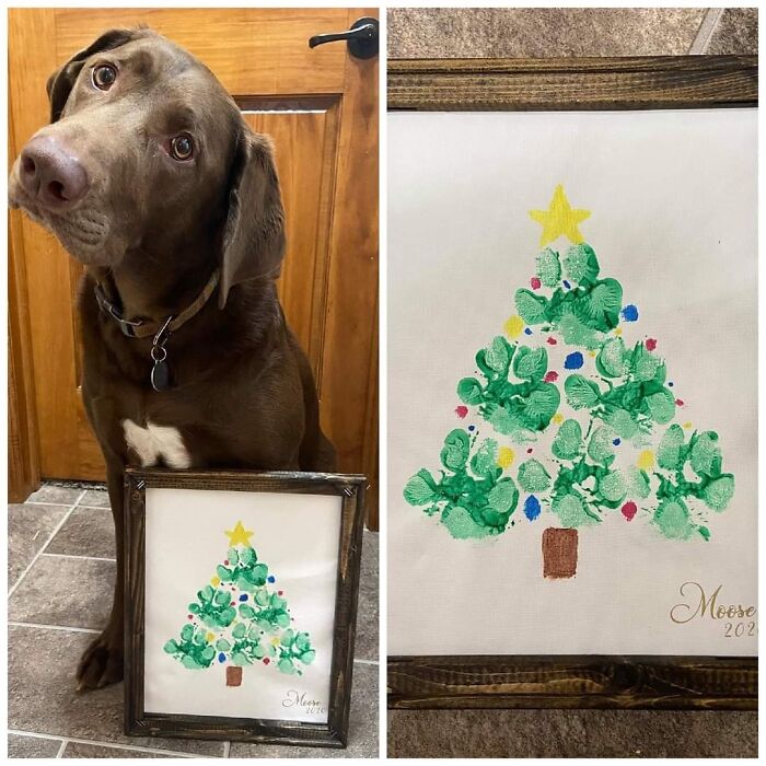 Make A Paw Print Christmas Tree For A Keepsake! Give Moose Some Love!