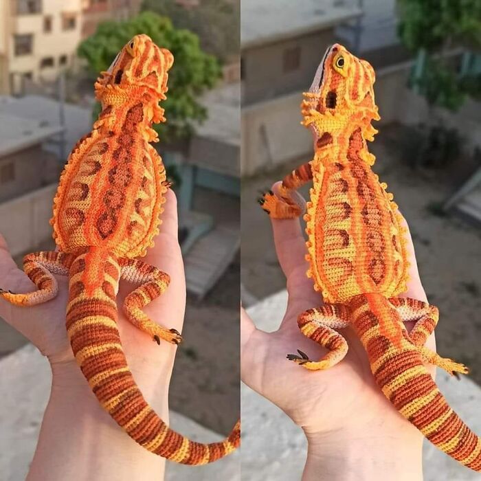 Crochet Bearded Dragon