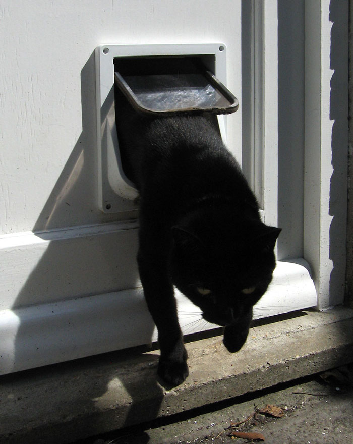 Isaac Newton is anecdotally attributed to the invention of the cat door