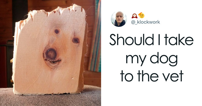 The 119 Funniest Tweets Of All Time That Make Us Laugh Every Time