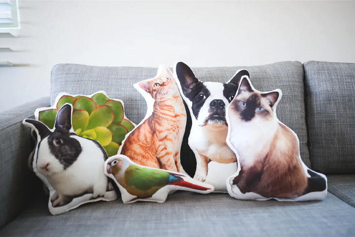 Personalized Pet Pillow