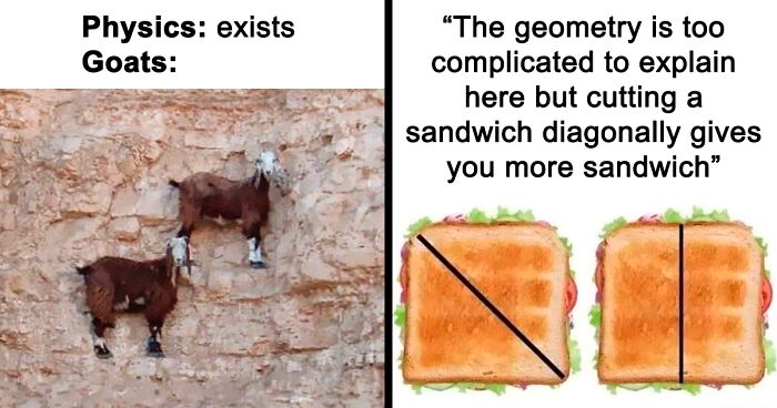 This Facebook Group Is All About “Science Humor”, Here Are 50 Of Their ...