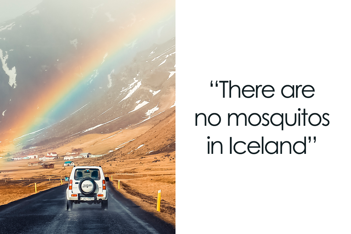 88 Geography Facts About Precious Home Bored Panda