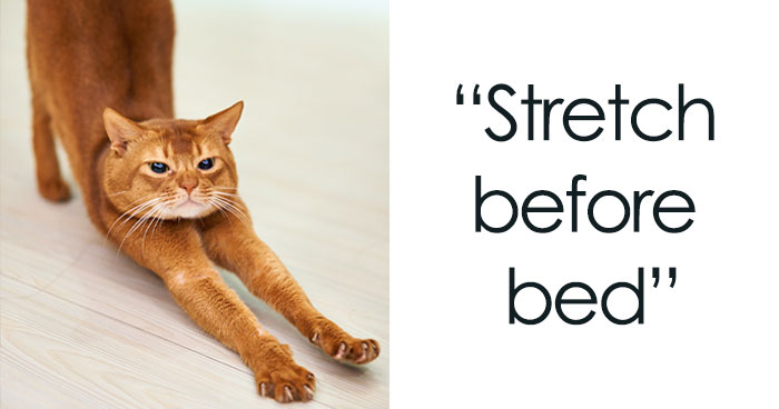 84 Healthy Habits To Start And Follow Throughout Life