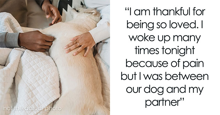 “What Is Something You Are Thankful For”: 50 Pandas Shared For What They Feel Grateful This Year