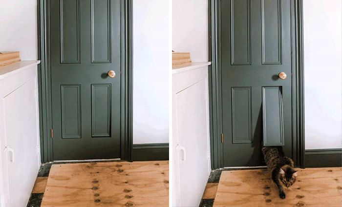 Una puerta de entrada con una puerta secreta para el gatito