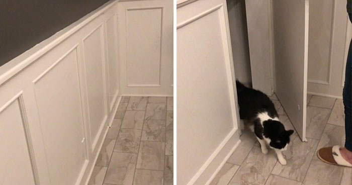 35 Secret Places And Compartments Hidden In People’s Homes (New Pics)