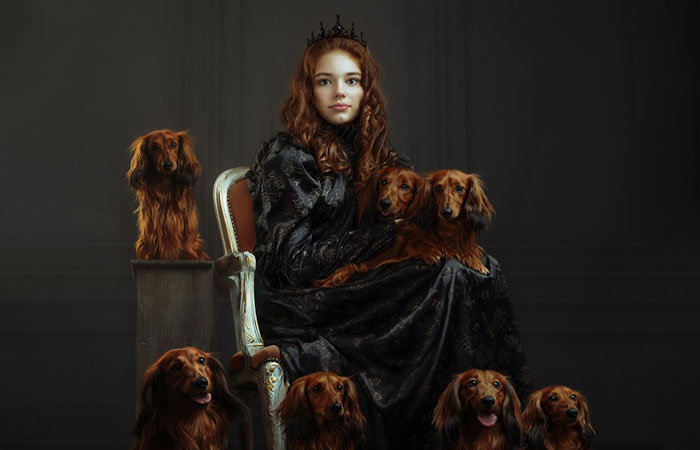 This Photographer Has Taken Magnificent Shots Illustrating The Delicate Bond Between Humans And Animals (50 Pics)