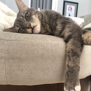 hilarybacklund avatar