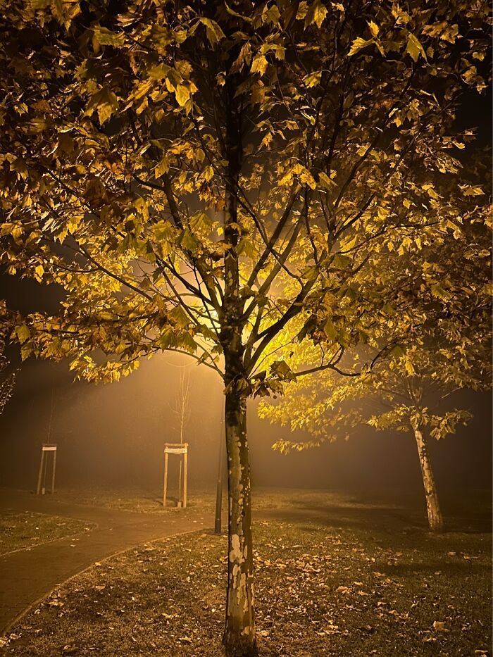 A Beautiful Foggy Evening In Budapest…