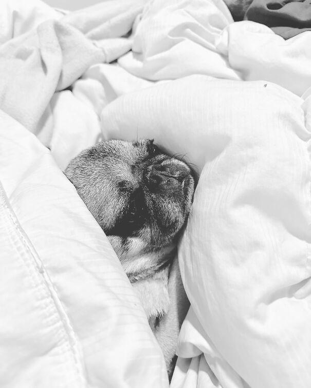 Anyplace This Girl Is