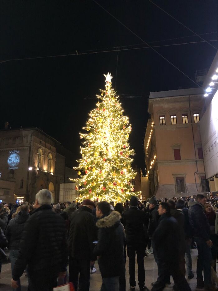 Christmas Tree In Bologna, Italy (Photo Taken In 2019)