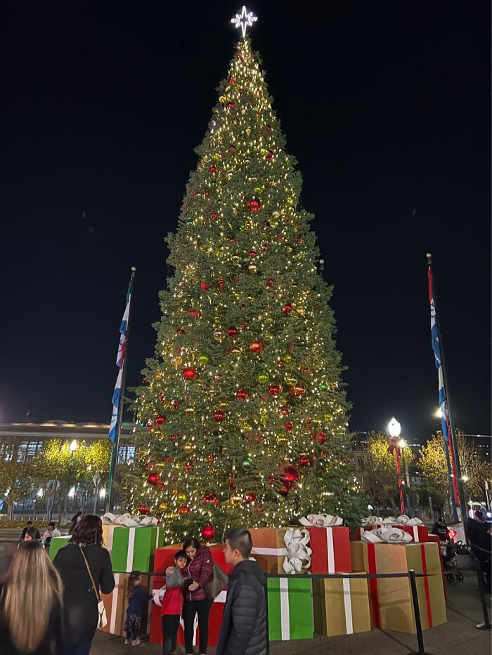 Big Christmas Tree At Pier 39 In San Francisco