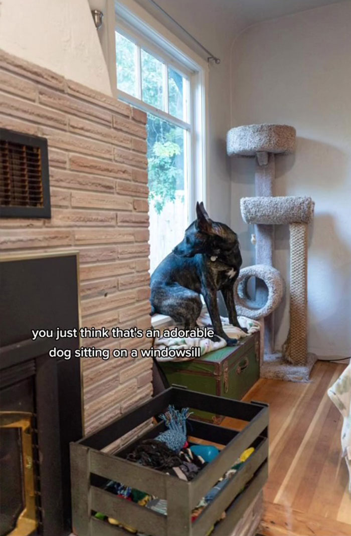 Woman Discovers That The Previous Owner Of Her House Was A Striving Instagram Influencer, Reminds Viewers How Deceitful Social Media Can Be Woman Discovers That The Previous Owner Of Her House Was A Striving Instagram Influencer, Reminds Viewers How Deceitful Social Media Can Be