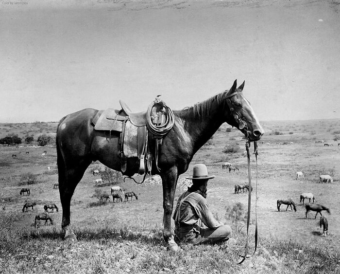 Photo Of A Cowboy Seated Next To His Horse On A Hill, In Old West Bonham, Texas. June, 1910