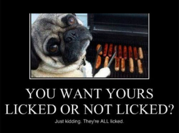 licked-hot-dogs-636986d123c13.jpg