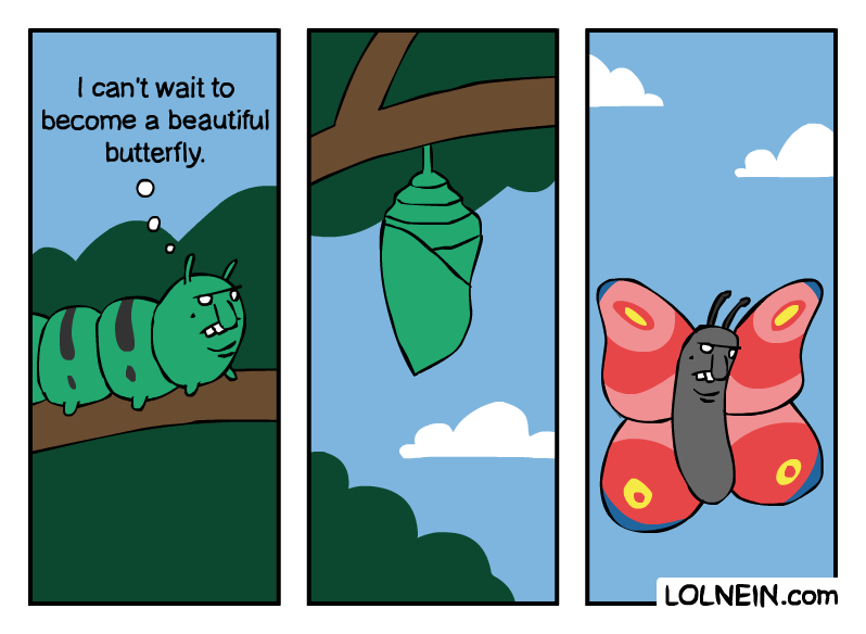 lolnein-comics-butterfly-4064401.png