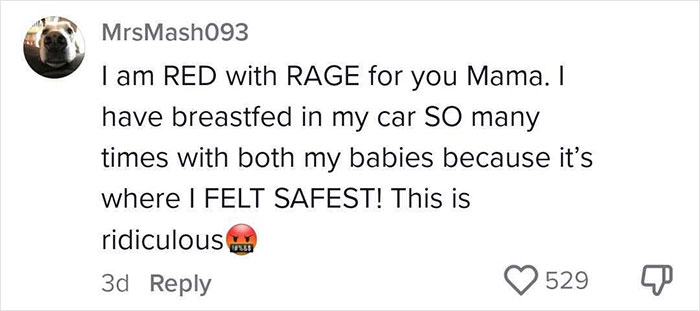 "Let Me Tell You How It's Gonna Go, Little Missy": Man Has The Audacity To Harass This Mother Breastfeeding In Her Car