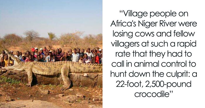 119 Disturbing And Morbid Facts That Might Freak You Out A Bit, As Shared By This Insta Page