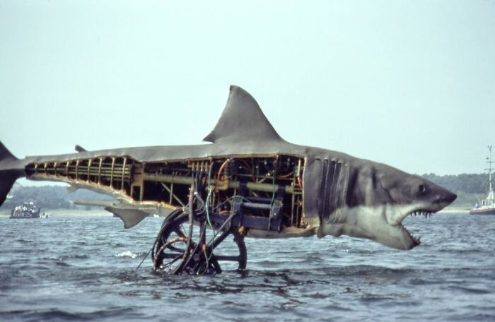 Bruce, el tiburón de 'Tiburón' (1975)