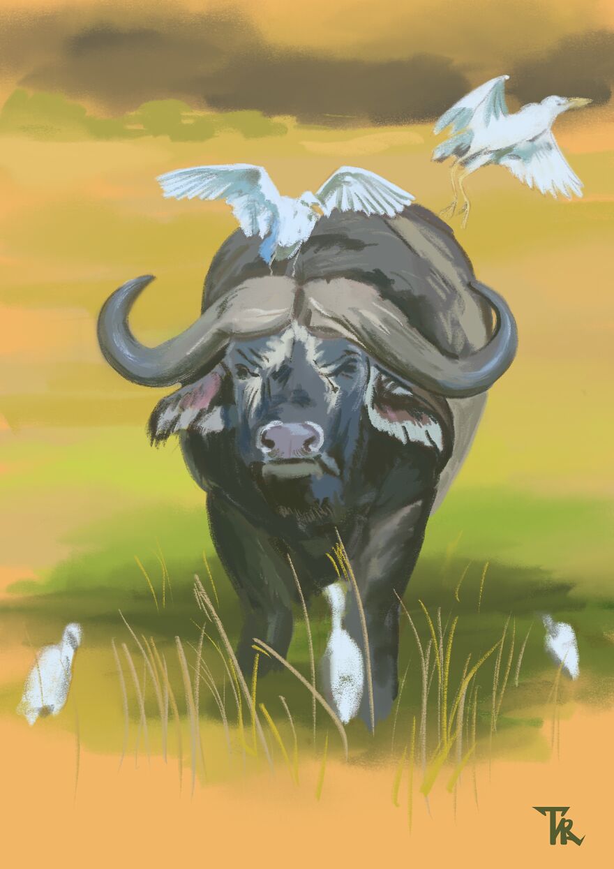 An illustration of a biffalo