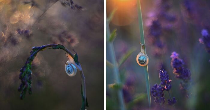 Nature In Spring, Summer, And Autumn: My 35 Photos By Me