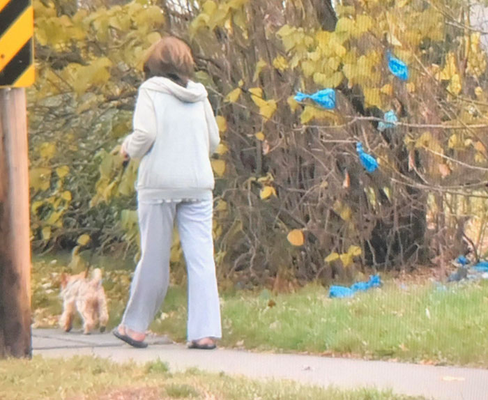 Every Day This Lady Walks Her Dog And Throws It's Poop In The Same Tree